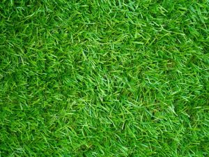 artificial grass ft.lauderdale,fl